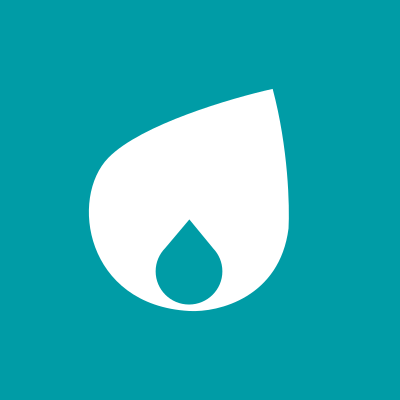 NETAS logo
